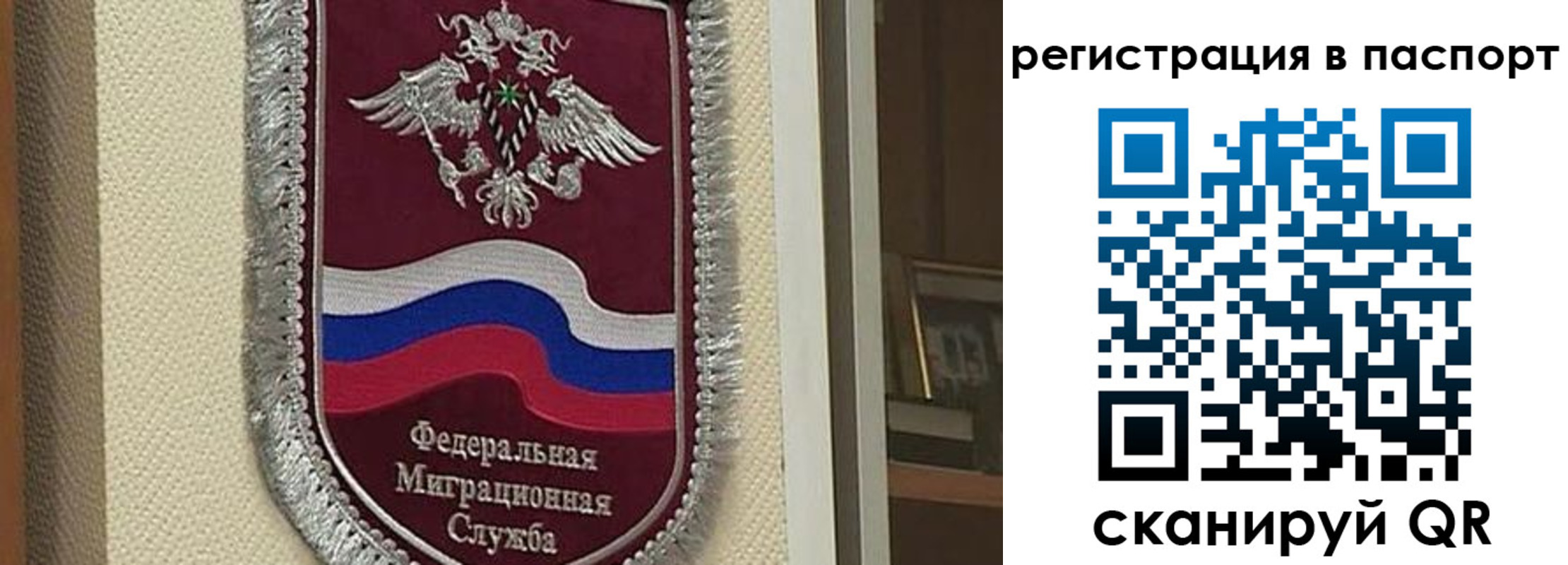 прописка законно в Каргополе